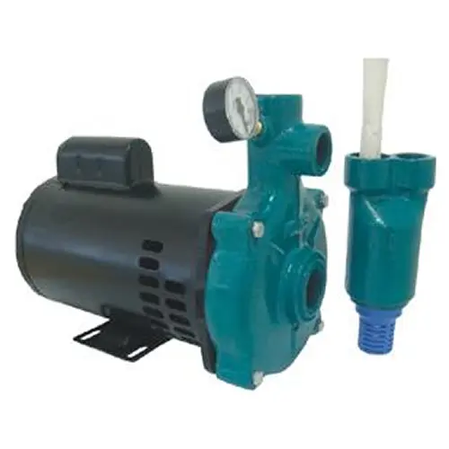 Motobomba injetora 1 3/4 3/4 cv monofásica 110v/220v- ECI-75M